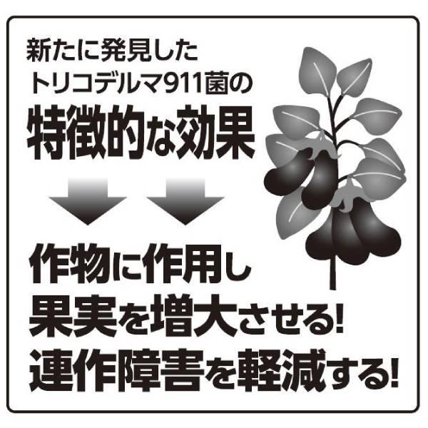 実のなる野菜の土 20L ガーデニング 園芸 野菜 初心者 培養土 がっちりマンデー 大石物産 |  | 02