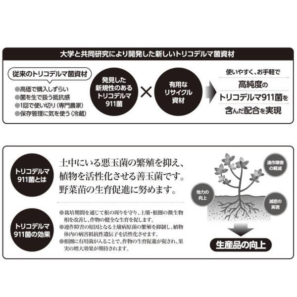 実のなる野菜の土 20L ガーデニング 園芸 野菜 初心者 培養土 がっちりマンデー 大石物産 |  | 03