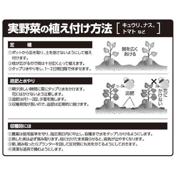 実のなる野菜の土 20L ガーデニング 園芸 野菜 初心者 培養土 がっちりマンデー 大石物産 |  | 04