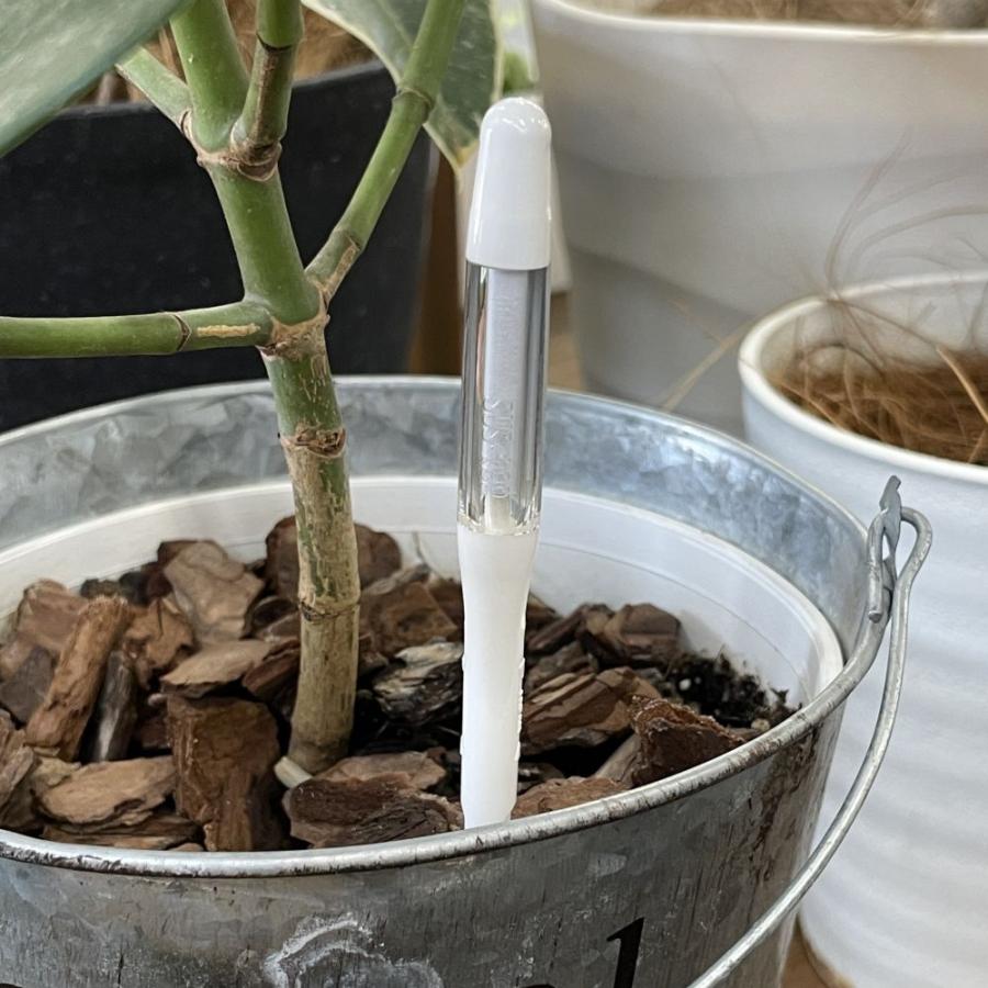 サスティー M ホワイト SUSTEE 植物 観葉植物 水やり キャビノチェ
