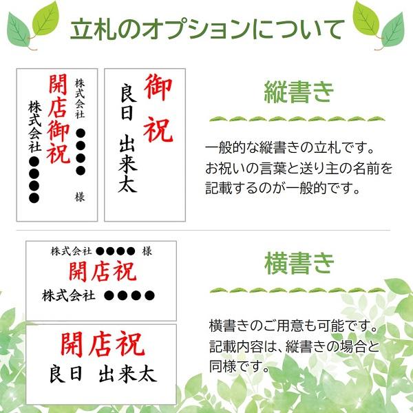 立札 （メーカー直送観葉植物専用オプション） tatefuda