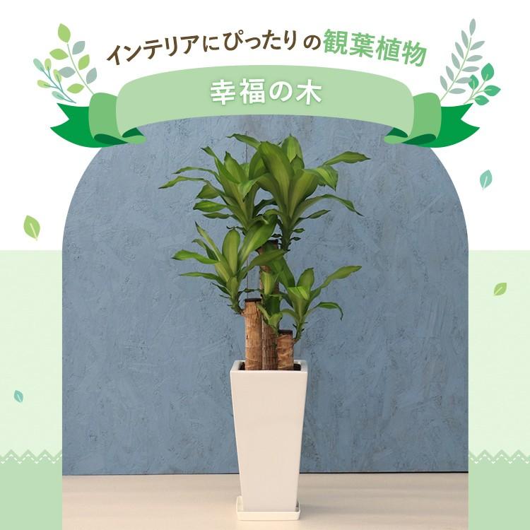 繁栄の木 木製取手 パイン TW-006 96mm | ねじ・くぎ・針金・建築金物