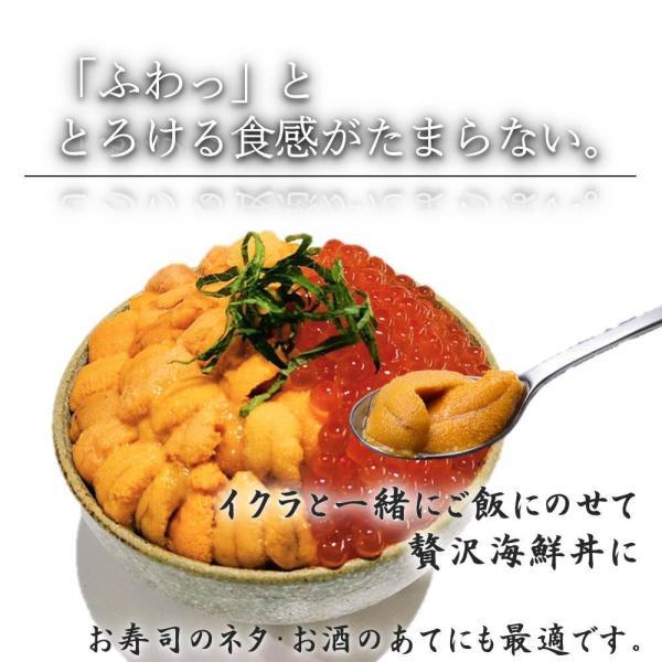 蝦夷バフンウニ100g】北海道産 蝦夷バフンウニ(塩水ウニ100g 蝦夷バフンウニ100g】北海道産 蝦夷バフンウニ(塩水ウニ100g