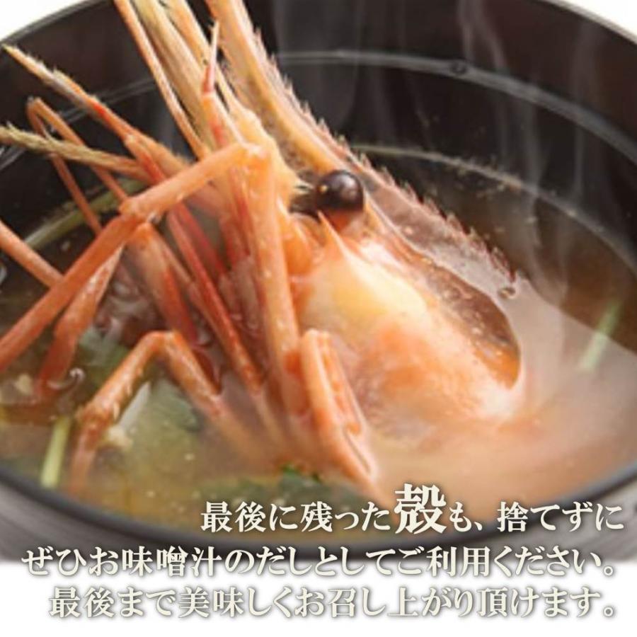 【【お弁当 おかず  魚 セット   貝｜hcimport｜09