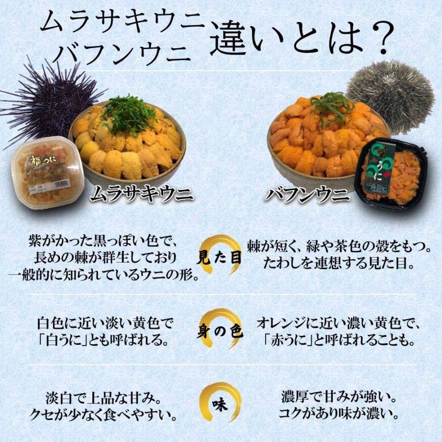 注目ショップ ブランドのギフト うに2色 松前数の子 蝦夷バフンウニ ムラサキウニ各90 100ｇ松前数の子300g バフンウニ 生キタムラサキウニ塩水ウニ うに ウニ 北海道 贈り物 Cisama Sc Gov Br