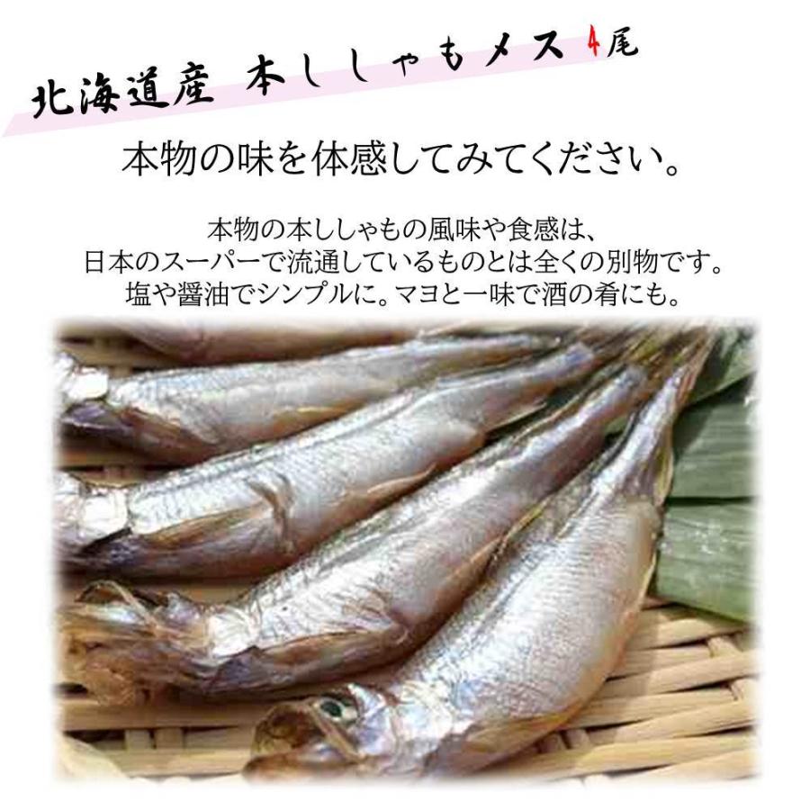 プレミアム干物セット キンキ開き マトウダイ ホッケ サバ開き にしん開き 紅鮭3切れ ししゃも イカ一夜干し1枚 高級 ギフト 干物 母の日 父の日 Hc インポートショップエイチシー 通販 Yahoo ショッピング