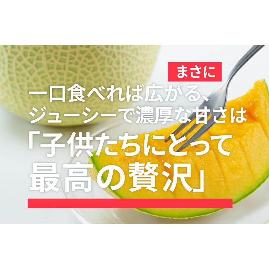 北海道 「夕張IKメロン」 秀品サッポロキングTA 4玉 8キロ 北海道 「夕張IKメロン」 秀品サッポロキングTA 4玉 8キロ