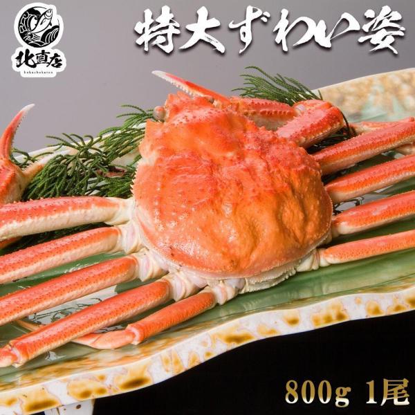 国内最安値 ズワイ姿800ｇ 本ズワイガニ 姿 800g ズワイガニを堪能 カニ ギフト ズワイガニ 1尾で圧巻の800g ロシア産 北海道加工 ボイル 時間指定不可 Turningheadskennel Com