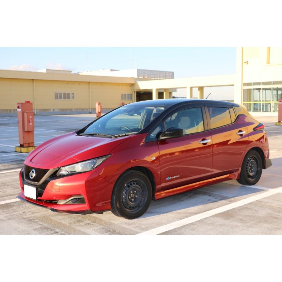 リーフ HCS Racing カーボン リアサイドスポイラー 日産リーフ ZE1