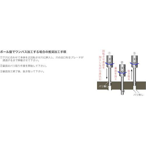 ■ミシガン湖 デバリングツール モジュラータイプ 仕かける【2278806:0】[店先受け取り証書不可]