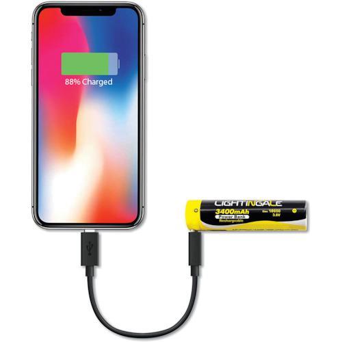 ■ライティンゲイル スマホにも給電できるリチウムイオン充電池3400mA/USB-TYPE-C/18650タイプ【3127074:0】[店頭受取不可]｜hcvalor2｜04