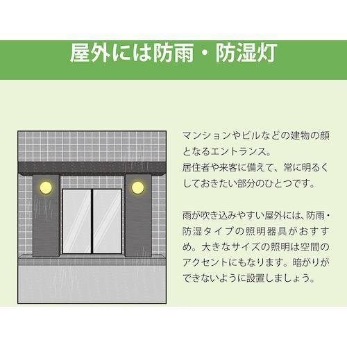 ■HotaluX LED防雨防湿形ライトFL20形相当900lm【3647806:0】[店頭受取不可]の画像