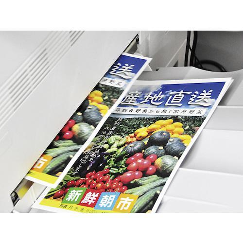 ■中川製作所 レーザープリンター専用耐水紙 ラミフリー A4 100枚【3691130:0】[店頭受取不可]の画像