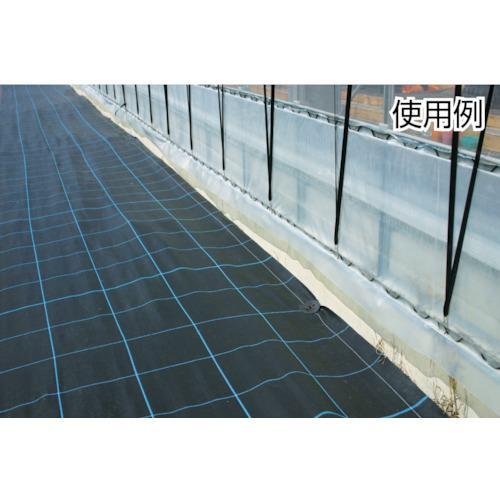 ■ワイドクロス 防草シ-ト BG1515-1X100 グリーン【7561393:0】[店頭受取不可]_2
