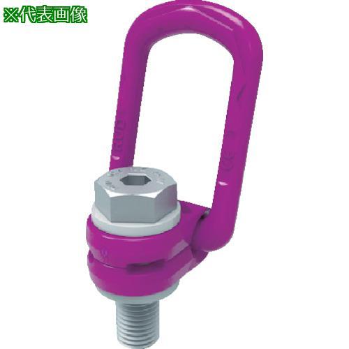 【送料0円】 ■RUD ロードリングプラス 15T【8587649:0】 VLBG-PLUS-M42 チェーンブロック、ウインチ 【送料0円】 ■RUD ロードリングプラス 15T【8587649:0】 VLBG-PLUS-M42 チェーンブロック、ウインチ