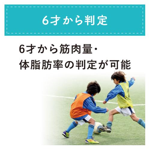TANITA タニタ 体組成計 体重計 乗るピタ BMI 体脂肪率 基礎代謝 筋肉量 ホワイト 白 WH BC333L|hcvalor2|04