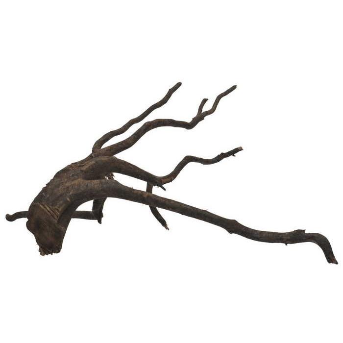 神畑養魚 枝流木 インドネシア産 Vh ホームセンターバローヤフー店 通販 Yahoo ショッピング