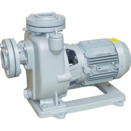 時間指定不可 宇崎日新 ドリームス 夢追 Dryo 906ml シーバスロッド お取り寄せ Sp 大決算売り尽くし Www Avitalagro Com