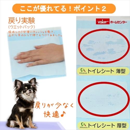 ペットシーツ スーパーワイド 薄型 32枚*6袋 国産 192枚 ケース