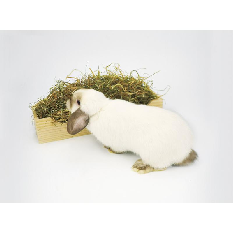 セット販売】 三晃商会 サンコー 牧草カウンター (×3セット