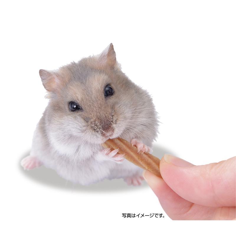 【ケース販売】 ジェックス GEX ハムテイン チキンチュロス 1ケース(1袋20g 入×48袋セット)の画像