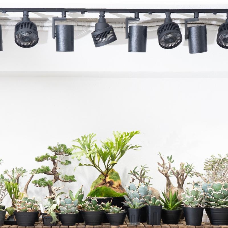 即納在庫品] BARREL Aechmea move マットブラック リモコン付 バレル