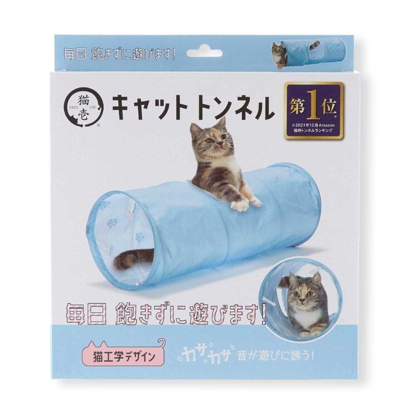【~7/1 ねこ】 価格の安いマンチカン♂（戸田店） / ペットショップ【かねだい】