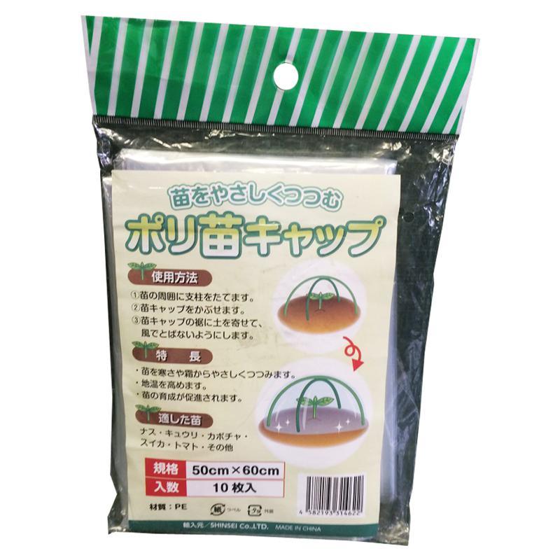 ym様ご購入専用 全世界100個限定！ゼマイティス・ギターの彫金デザインを投入