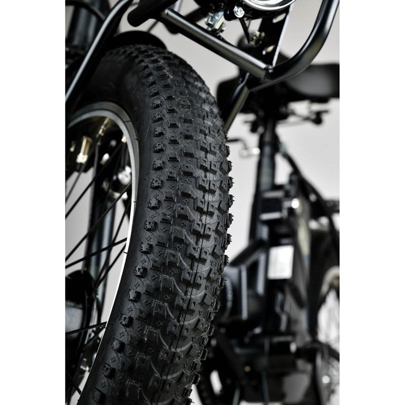 キャプテンスタッグ 電動アシスト自転車 eバーギー電動 FDB206