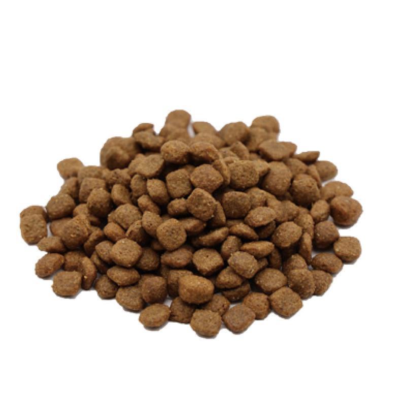 VetSolution 猫用胃腸サポート 2kg ジャパンペット