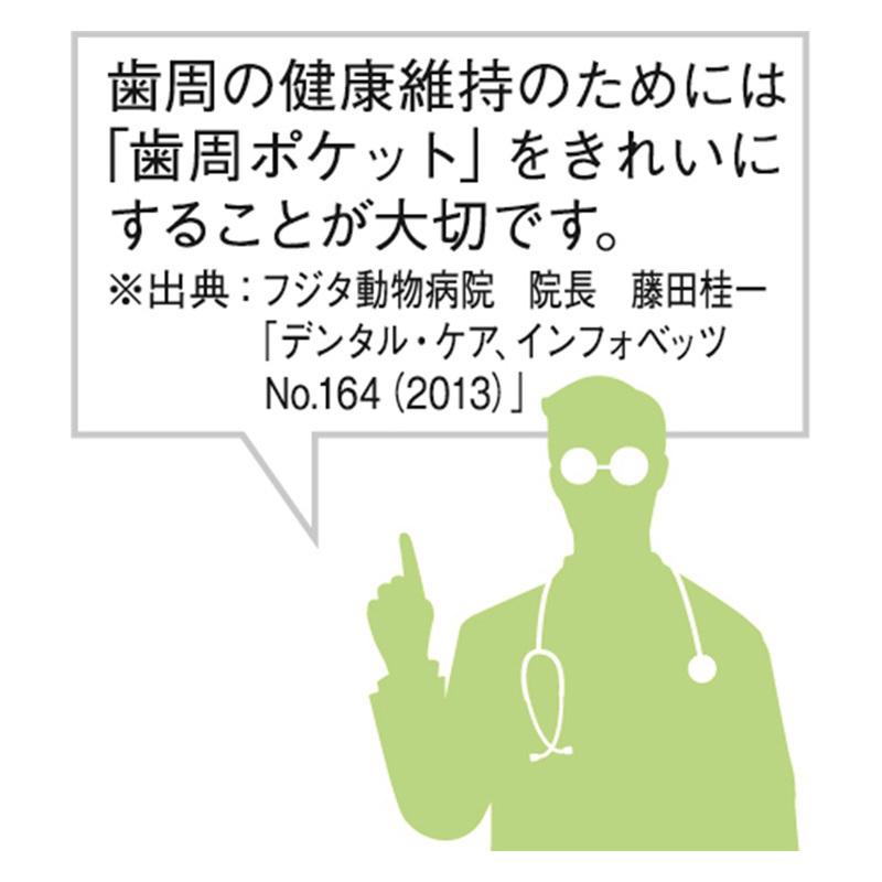 国際ブランド】 ライオン商事 犬 お手入れ PETKISSデンタルブラシコンパクト 1本 ペット用品 riosmauricio.com 国際ブランド】 ライオン商事 犬 お手入れ PETKISSデンタルブラシコンパクト 1本 ペット用品 riosmauricio.com