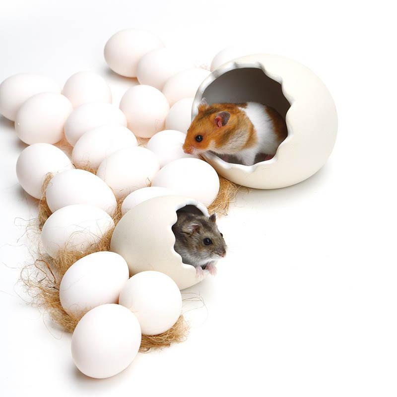 マルカン ハムスター ハウス たまご型がかわいい はむすたまご M