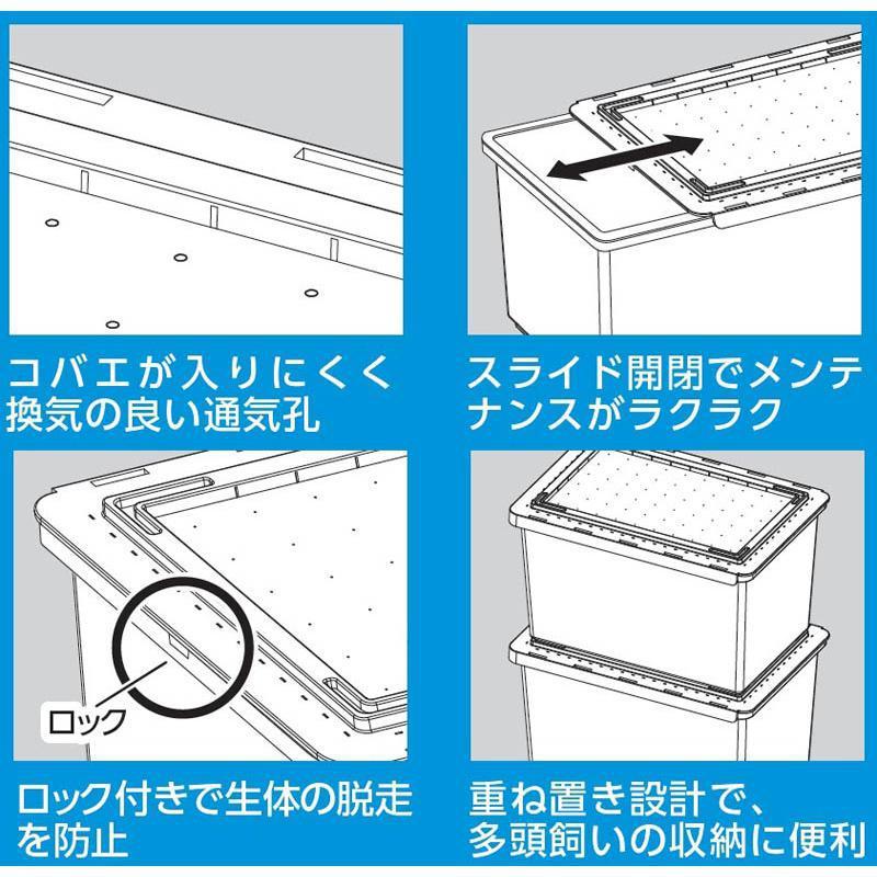 マルカン サムライライフスタイルスライドケースクリア 昆虫 昆虫用