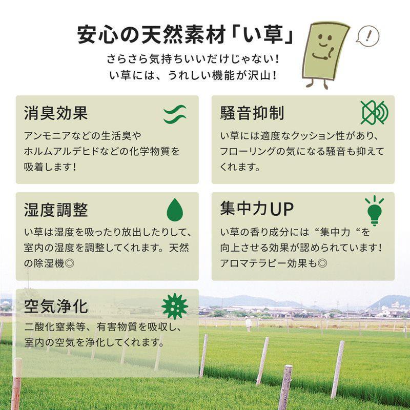 い草カーペット 286×382 おもてなし 雅 本間6畳 158012460_3