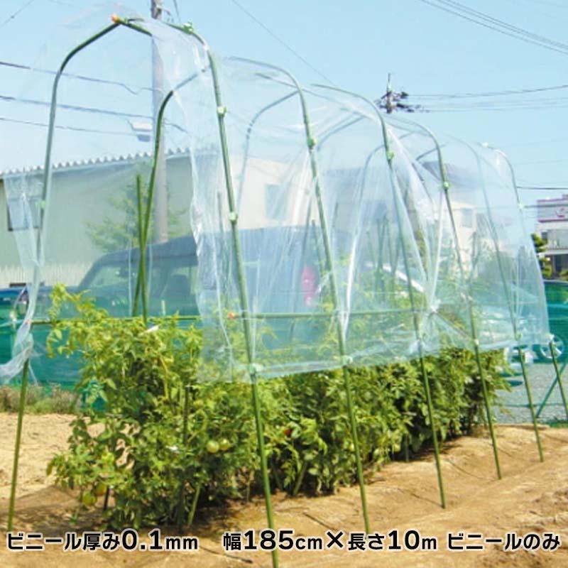 DAIM [即納在庫品] 第一ビニール 家庭菜園用ビニール 厚み0.1mm×幅