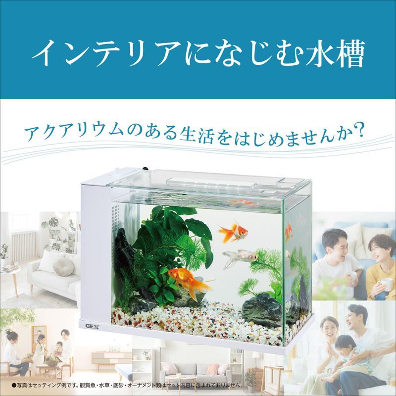 即納在庫品] GEX HOURS ホワイト ホームアクアリウム アワーズ
