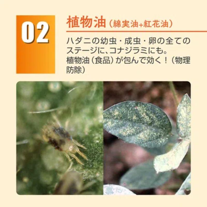 KINCHO園芸 [即納在庫品] ベニカナチュラルスプレー付替 1000mL 殺虫