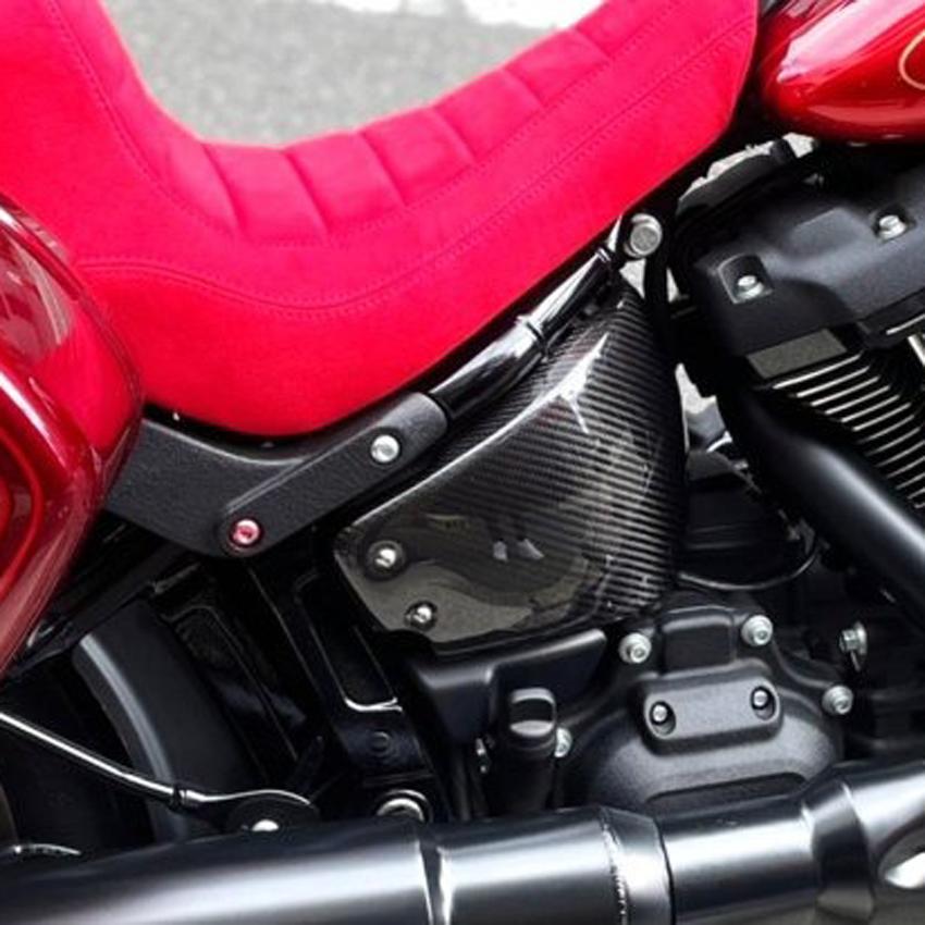ローライダーS/ST、ストリートボブ、スタンダード ドライカーボン 