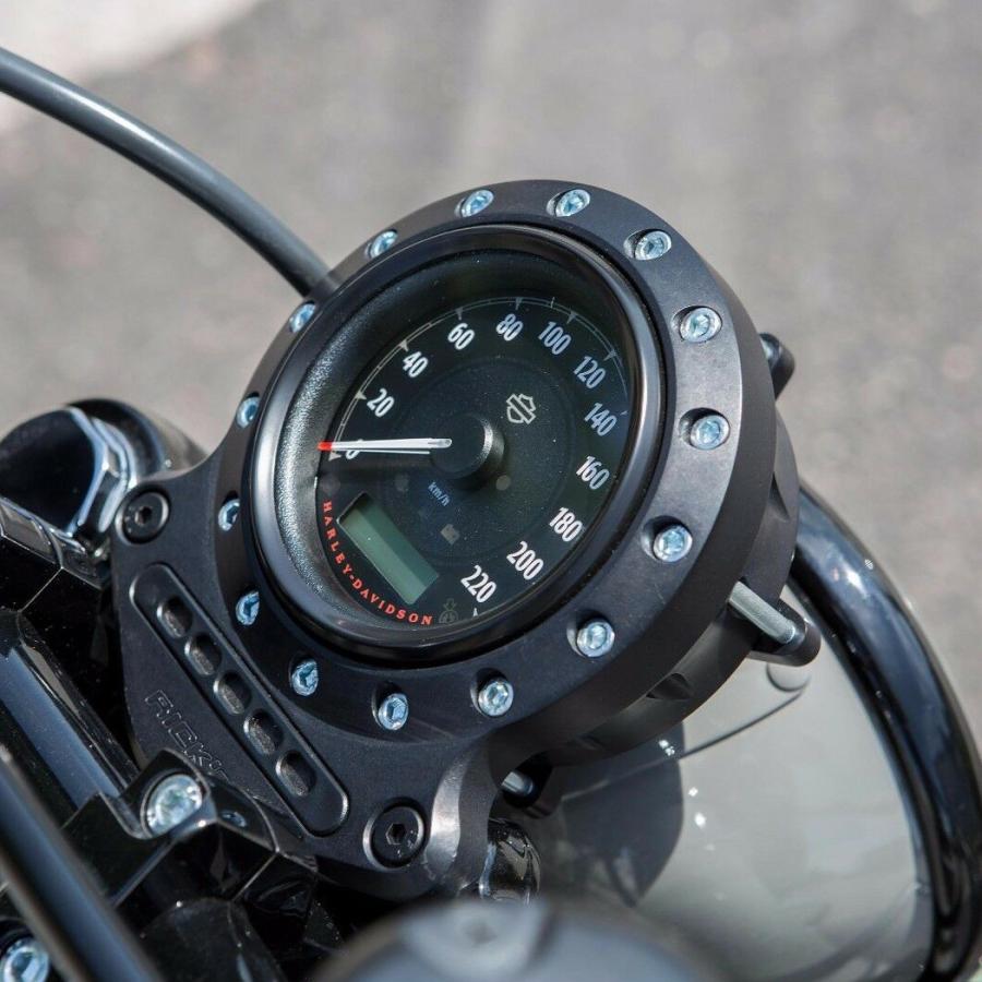 Ricks Motorcycles スポーツスター用 スピードメーターハウジング : HD