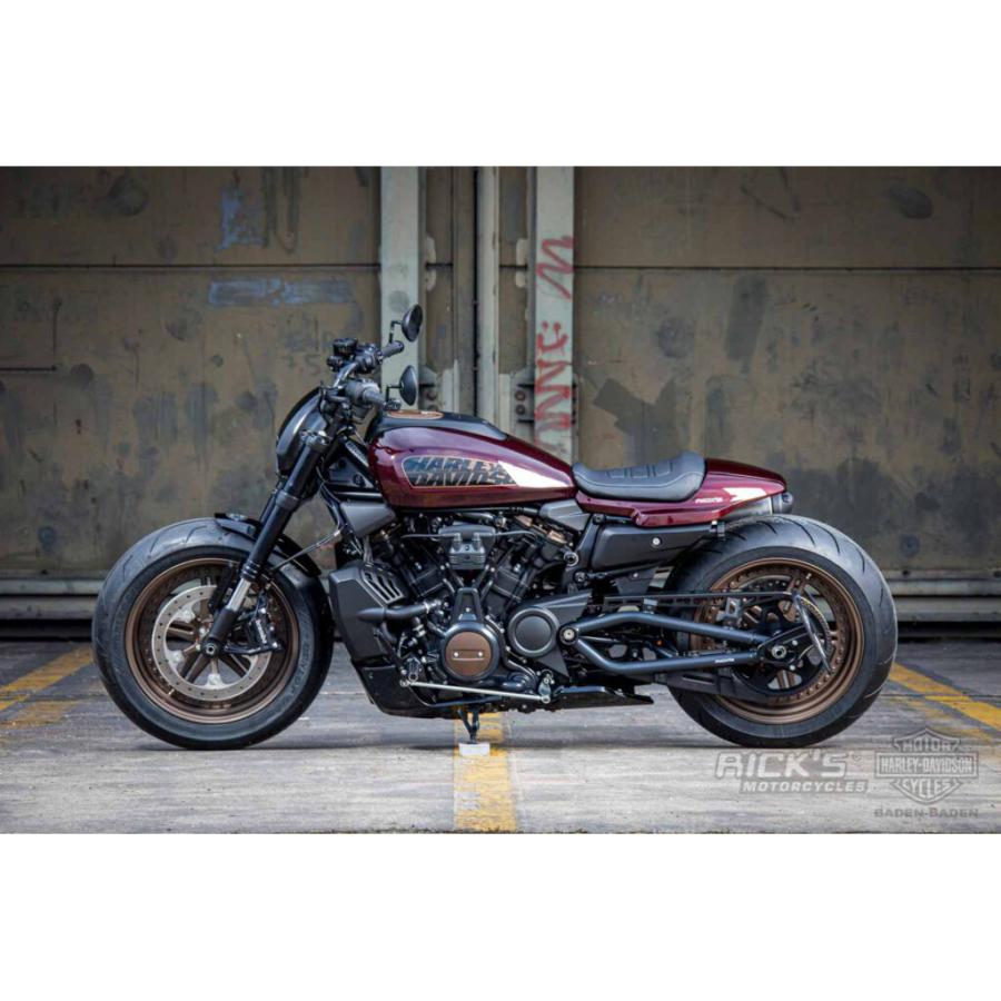 ハーレー Sportster S 17インチフロントフェンダー(Street Cut) Ricks