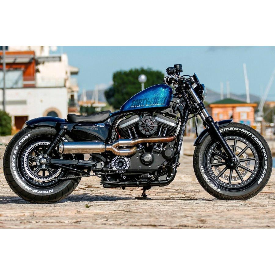 Ricks Motorcycles 2010〜2021 Sportster スチールリア Ricks Motorcycles 2010〜2021 Sportster スチールリア