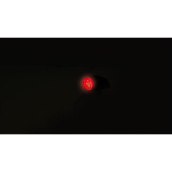 PROTON3 ラン/ブレーキ/ターン一体型LEDリアウィンカーの画像