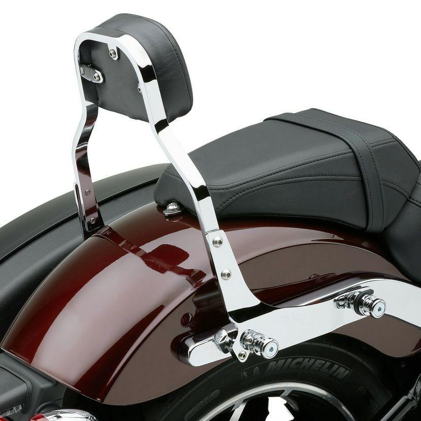 コブラ 602-2029 COBRA ミニ・デタッチャブル シーシーバーセット クローム 2018以降 FXLR/S