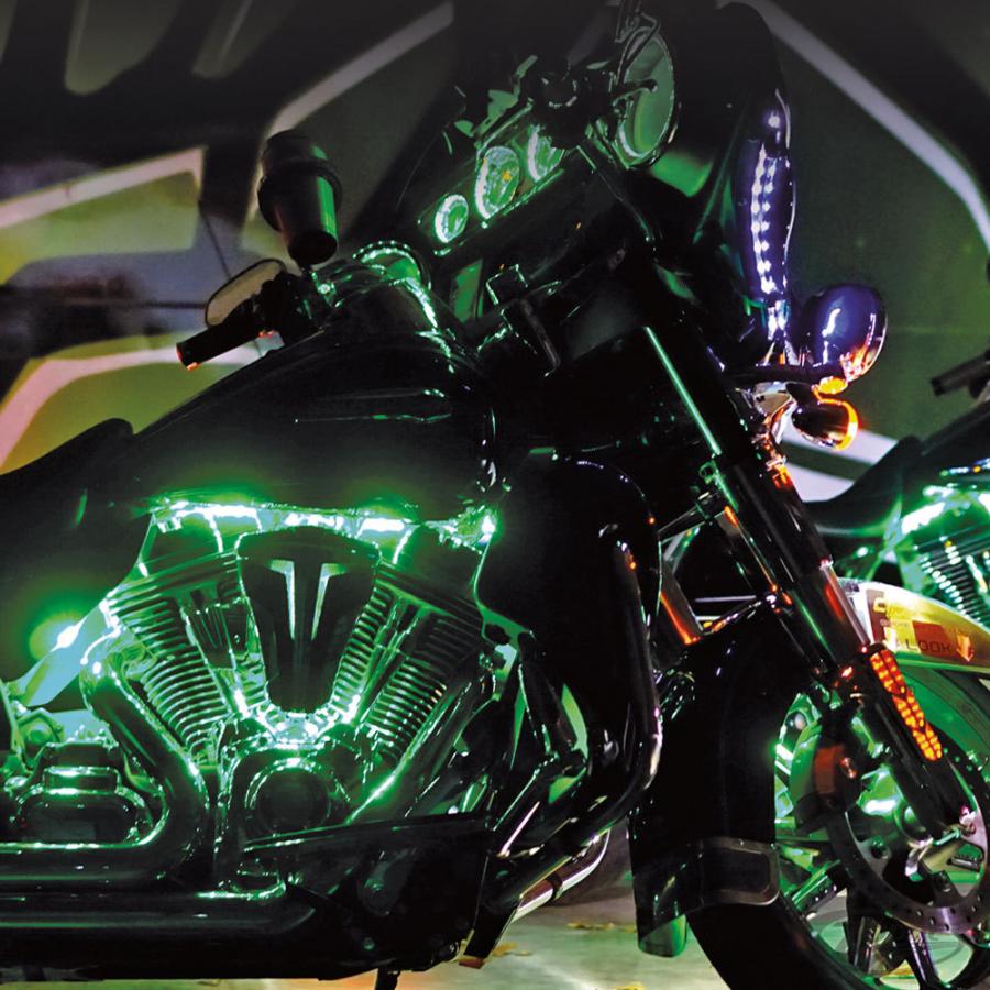 美品 ストライダー STRIDA カスタム インチアップ【公式通販】