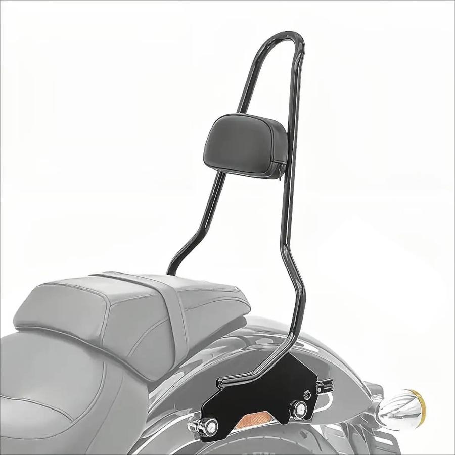 ハーレー クルーザー ソフテイル デタッチャブル テーパーシーシーバー
