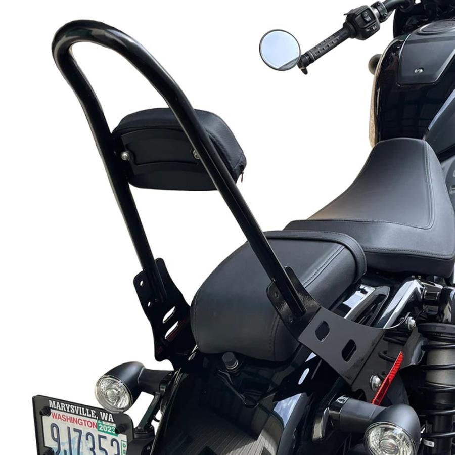 ナイトスター／S 21 インチシーシーバー パッド付き ナイトスター/S 21インチ シーシーバー パッド付 (グロスブラック