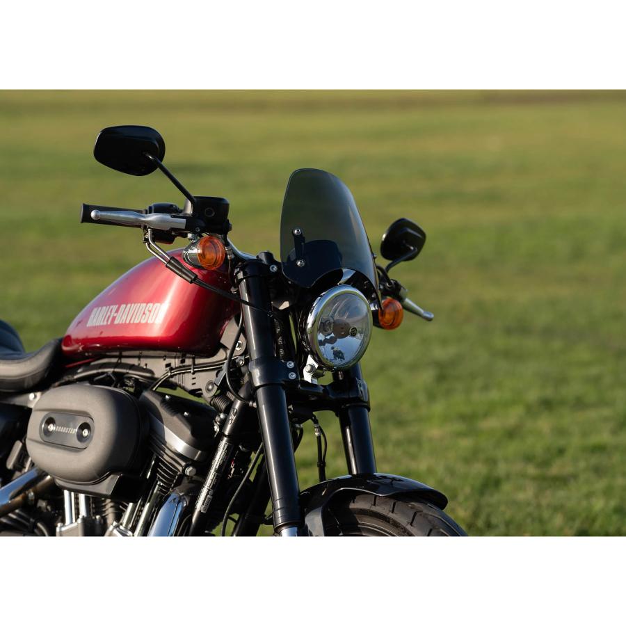 DART フライスクリーン クラシックS3 (ダークティント) XL1200CX