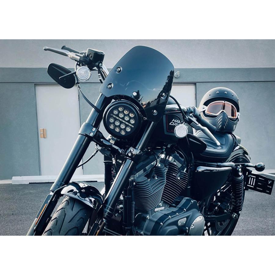 DART フライスクリーン クラシックS3 (ブラック) XL1200CX