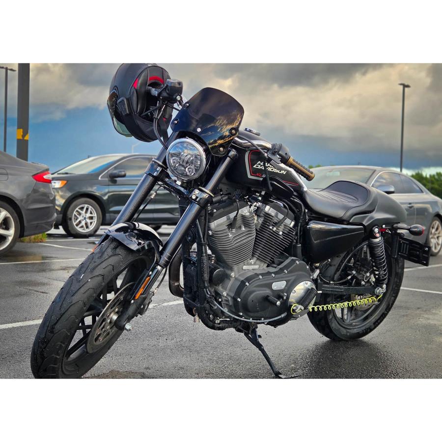 DART フライスクリーン ピラーニャS3 (ブラック) XL1200CX