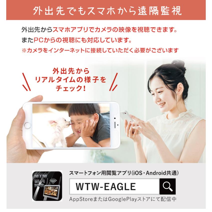 ワイヤレス 防犯カメラ 監視カメラ 家庭用 イーグルミニ SDカード録画